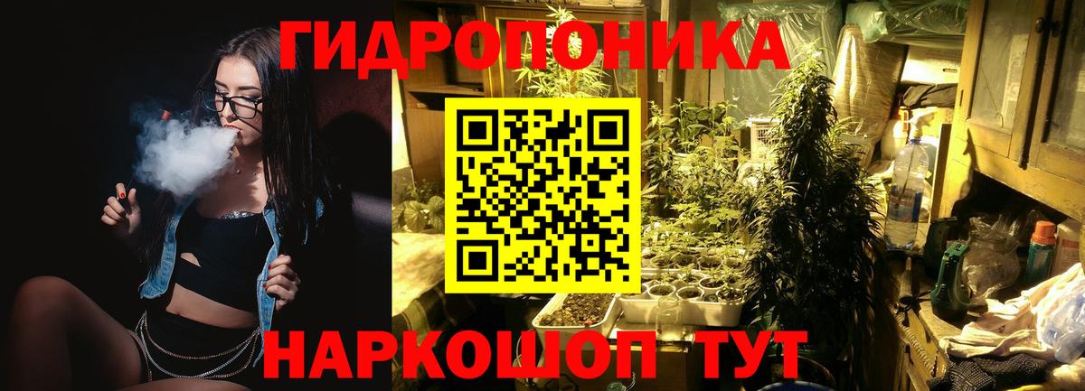 Бошки марихуана конопля Избербаш